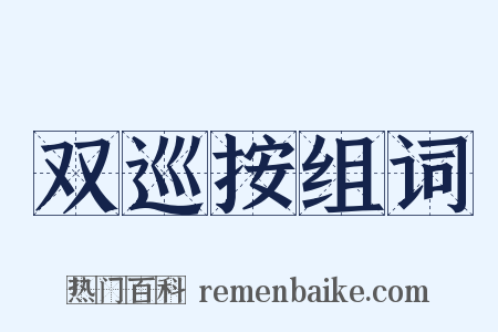 双巡按组词是什么意思的图片